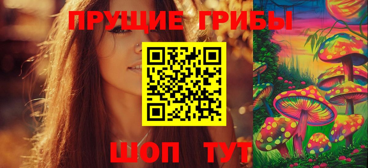 Псилоцибиновые грибы GOLDEN TEACHER  Вход с VPN  Асино  Галлюциногенные грибы мицелий 